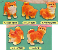 Mattari Shiba Inu Figure [All 5 type set (Full Complete)]
