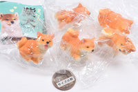 Mattari Shiba Inu Figure [All 5 type set (Full Complete)]