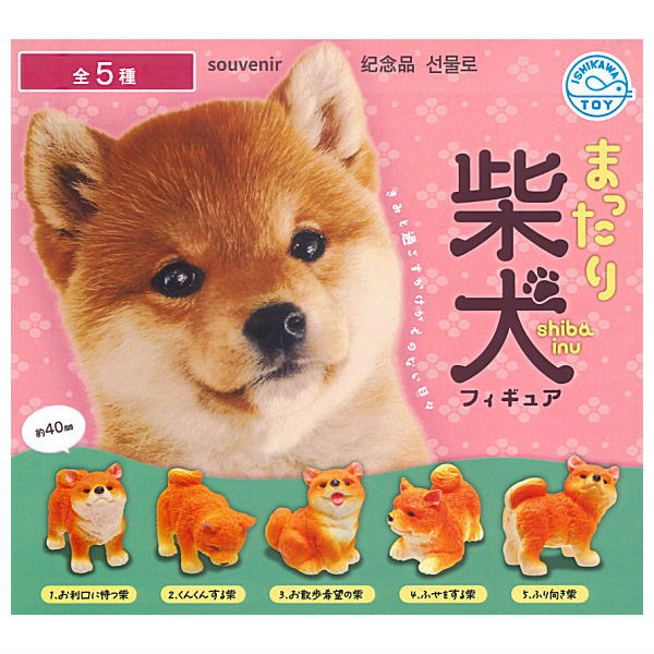 Mattari Shiba Inu Figure [All 5 type set (Full Complete)]