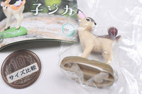 Baby Deer [2.Baby Deer and Acorn]