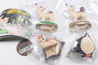 Baby Deer [All 4 type set(Full Complete)]