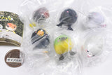 Bongeshiki Kotorichi [All 6 type set(Full Complete)]
