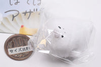 Potepote azarashisan [4.Potepote azarashisan]