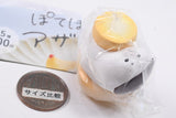 Potepote azarashisan [5.S'moremogumogu azarashisan]