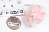 rom&nd Miniature Collection Part.2 [3.Sheer Pearl Powder (03 Peach Honey Glow)]
