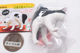 Yannnokaneko mascot [4.Hachiware]