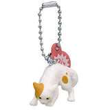 Yannnokaneko mascot [5.Buchi Brown (Kitten)]