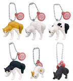 Yannnokaneko mascot [All 6 type set(Full Complete)]