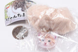 Nyantamascot [1.Chatora]
