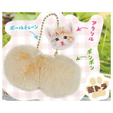 Nyantamascot [1.Chatora]