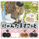 Nyantamascot [All 5 type set(Full Complete)]