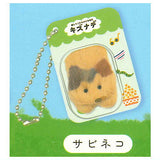 Iyashitekuretu Chiisanamikata Kizunade Packaged Charm (Cat) [1.Sabineko]