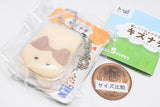 Iyashitekuretu Chiisanamikata Kizunade Packaged Charm (Cat) [2.Hachiware]