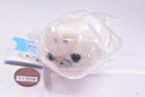 Howa howa Azarashi-Chan Plush Toy [4.Howahowa-chan]