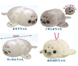 Howa howa Azarashi-Chan Plush Toy [All 4 type set(Full Complete)]