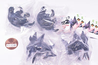 Dakitsuki Gamera 2 Attack of Legion [All 4 type set(Full Complete)]