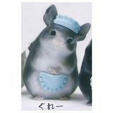 Chillasshaimase [2.Grey]