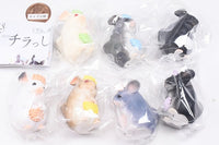Chillasshaimase [All 7 type set(Full Complete)]