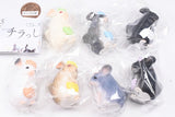 Chillasshaimase [All 7 type set(Full Complete)]