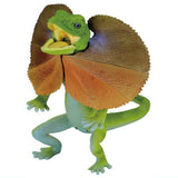 Lizard kingdom Frilled Lizard ga yattekita!! [1.Frilled Lizard A]