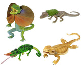 Lizard kingdom Frilled Lizard ga yattekita!! [All 4 type set(Full Complete)]