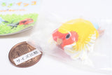 Kotori's Holiday Kutsurogi Parakeet [1.Rosy-faced Lovebird A]