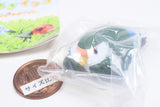 Kotori's Holiday Kutsurogi Parakeet [2.Rosy-faced Lovebird B]