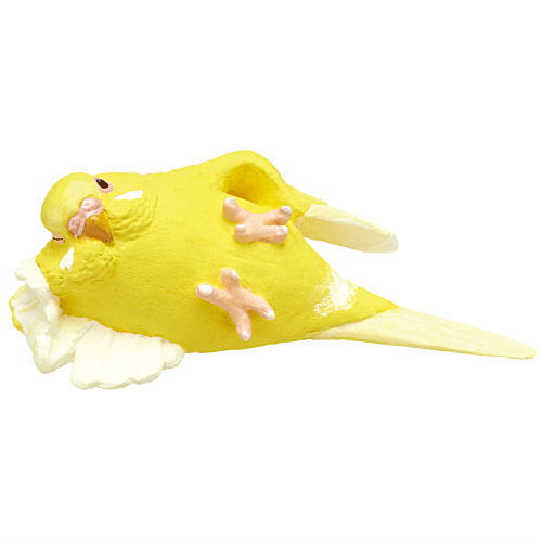 Kotori's Holiday Kutsurogi Parakeet [5.Budgerigar A]