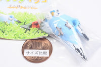 Kotori's Holiday Kutsurogi Parakeet [6.Budgerigar B]