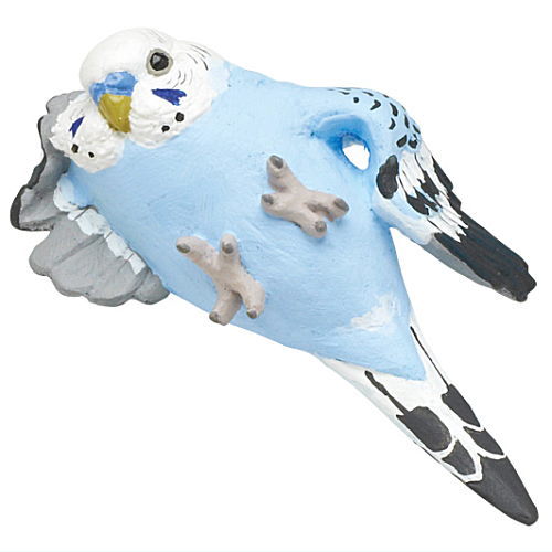 Kotori's Holiday Kutsurogi Parakeet [6.Budgerigar B]