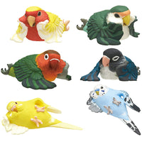Kotori's Holiday Kutsurogi Parakeet [All 6 type set(Full Complete)]