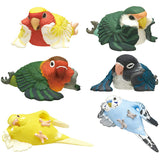 Kotori's Holiday Kutsurogi Parakeet [All 6 type set(Full Complete)]