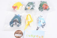 Kotori's Holiday Kutsurogi Parakeet [All 6 type set(Full Complete)]
