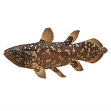 Nature Techni colour MONO PLUS Deep sea organisms Magnet & Ball chain Part.2 [2.Coelacanthiformes]