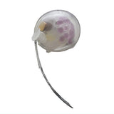 Nature Techni colour MONO PLUS Deep sea organisms Magnet & Ball chain Part.2 [6.Gigantocypris agassizii]