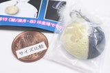 Science Techni colour Moon Age Glow-in-the-dark Mejirushi Mascot [5.Moon Age 23 (Waning Crescent/Half Moon) <hemisphere>]