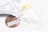 Kokodayo mascot Tapumuchi Seal [3.Wa-i]