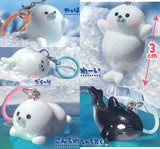 Kokodayo mascot Tapumuchi Seal [All 5 type set(Full Complete)]