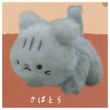 Tenohira size Kitten plush toy [1.Sabatora]