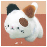 Tenohira size Kitten plush toy [4.Mike]