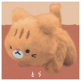Tenohira size Kitten plush toy [5.Tora]