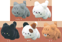 Tenohira size Kitten plush toy [All 5 type set(Full Complete)]