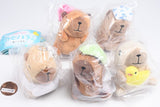 Ofurodaisuki Capybara Bath Plush Toy [All 5 type set(Full Complete)]