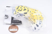 Ikimono Encyclopedia Soft Vinyl Collection Leopard and Crested [1.Leopard Gecko (High Yellow)]