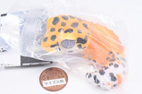 Ikimono Encyclopedia Soft Vinyl Collection Leopard and Crested [2.Leopard Gecko (Tangerine)]