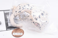 Ikimono Encyclopedia Soft Vinyl Collection Leopard and Crested [5.Crested Gecko (Dalmatian)]