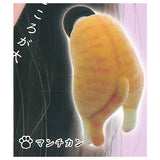 Earplug Cat Flocky Ver. [1.Munchkin]