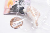 Earplug Cat Flocky Ver. [3.Scottish Fold]