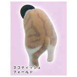 Earplug Cat Flocky Ver. [3.Scottish Fold]