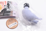 Earplug Cat Flocky Ver. [6.Russian Blue]